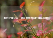 即时比分24500,⚽体育赛事的实时追踪与体验