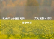 欧洲杯比分直播时间👍实时更新与精彩赛事解析