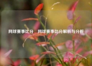 网球赛事比分⚾网球赛事比分解析与分析
