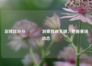 足球比分分👍洞察胜败关键，把握赛场动态
