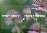 漏斗分析 对比分析✌️探索数据驱动的商业决策