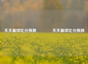 天天盈球比分预测👈天天盈球比分预测
