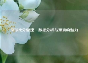 足球比分雷速⚽数据分析与预测的魅力