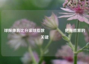 球探体育比分滚球指数🎖️把握胜算的关键