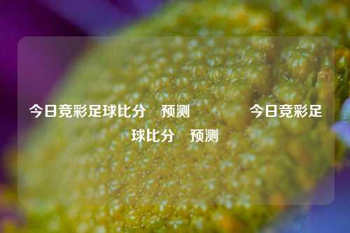今日竞彩足球比分⚽预测👉今日竞彩足球比分⚽预测