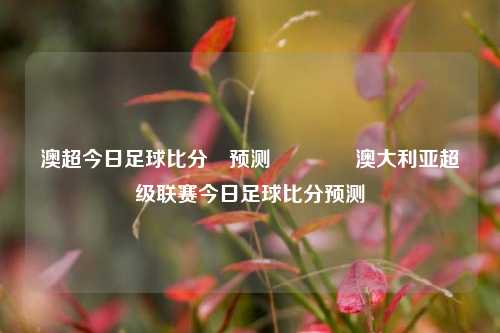 澳超今日足球比分⚽预测🥇澳大利亚超级联赛今日足球比分预测