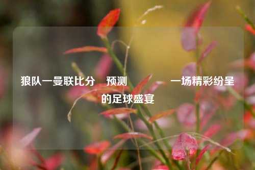 狼队一曼联比分⚽预测🥎一场精彩纷呈的足球盛宴