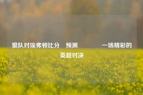 狼队对埃弗顿比分⚽预测🥎一场精彩的英超对决