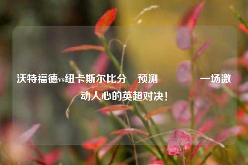 沃特福德vs纽卡斯尔比分⚽预测🥉一场激动人心的英超对决！