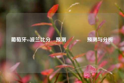 葡萄牙vs波兰比分⚽预测🏀预测与分析