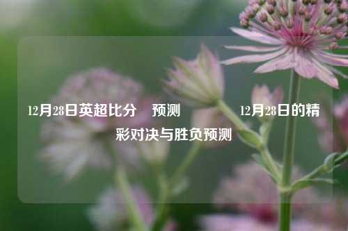 12月28日英超比分⚽预测👈12月28日的精彩对决与胜负预测