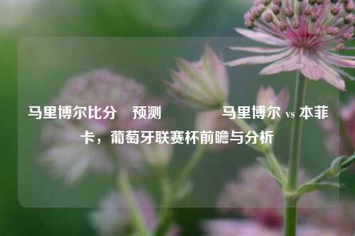 马里博尔比分⚽预测👈马里博尔 vs 本菲卡，葡萄牙联赛杯前瞻与分析