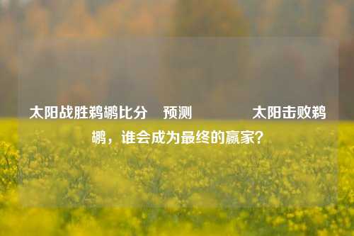 太阳战胜鹈鹕比分⚽预测🏆太阳击败鹈鹕，谁会成为最终的赢家？