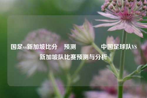 国足vs新加坡比分⚽预测🏐中国足球队VS新加坡队比赛预测与分析