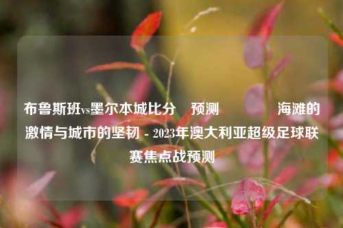 布鲁斯班vs墨尔本城比分⚽预测👍海滩的激情与城市的坚韧 - 2023年澳大利亚超级足球联赛焦点战预测