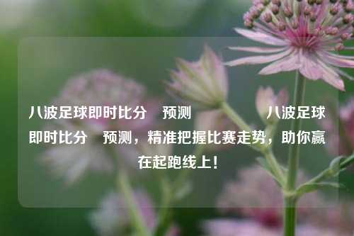 八波足球即时比分⚽预测🎖️