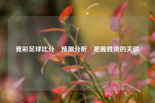 竟彩足球比分⚽预测分析⚽把握胜负的关键