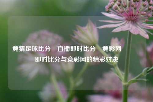 竞猜足球比分⚽直播即时比分⚽竞彩网🥎即时比分与竞彩网的精彩对决