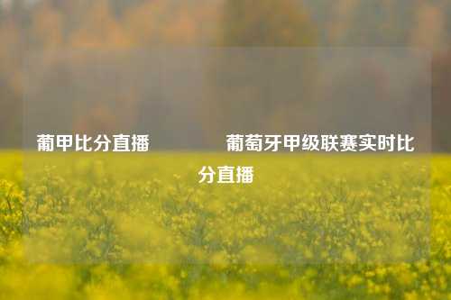 葡甲比分直播🥈葡萄牙甲级联赛实时比分直播