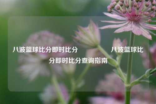 八波篮球比分即时比分🎖️八波篮球比分即时比分查询指南