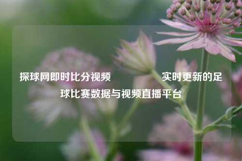 探球网即时比分视频🎖️实时更新的足球比赛数据与视频直播平台