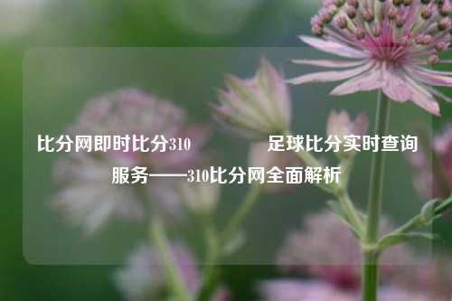 比分网即时比分310🏐足球比分实时查询服务——310比分网全面解析