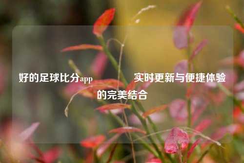 好的足球比分app🏅实时更新与便捷体验的完美结合