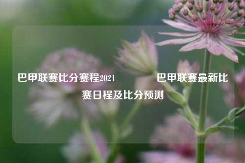 巴甲联赛比分赛程2021🏐巴甲联赛最新比赛日程及比分预测