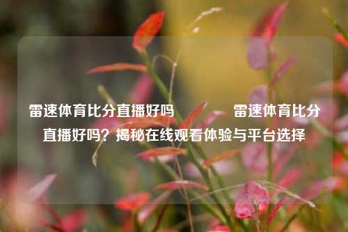 雷速体育比分直播好吗👉雷速体育比分直播好吗？揭秘在线观看体验与平台选择