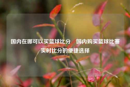 国内在哪可以买篮球比分⚽国内购买篮球比赛实时比分的便捷选择