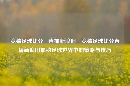 竞猜足球比分⚽直播新浪旧⚽竞猜足球比分直播新浪旧揭秘足球世界中的策略与技巧