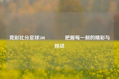 竞彩比分足球500🏐把握每一刻的精彩与挑战