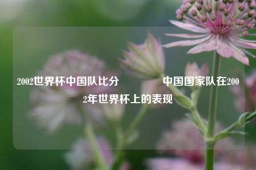 2002世界杯中国队比分🥈中国国家队在2002年世界杯上的表现
