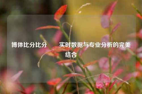 博体比分比分✌️实时数据与专业分析的完美结合