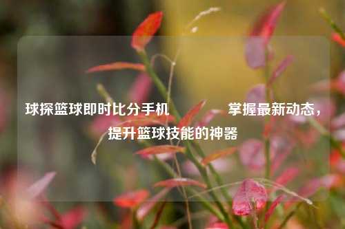 球探篮球即时比分手机🌈掌握最新动态，提升篮球技能的神器