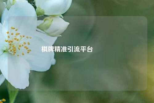 棋牌精准引流平台🥈
