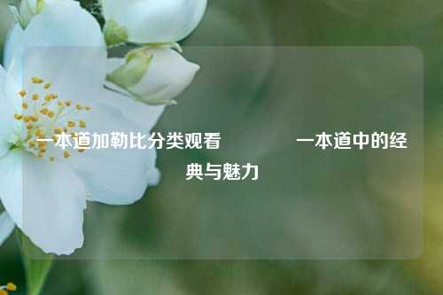 一本道加勒比分类观看🥈一本道中的经典与魅力