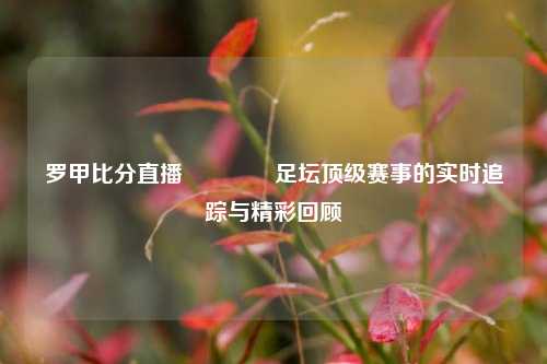 罗甲比分直播🏅足坛顶级赛事的实时追踪与精彩回顾