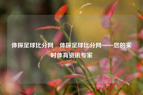 体探足球比分网⚽体探足球比分网——您的实时体育资讯专家