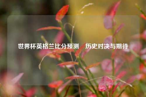 世界杯英格兰比分预测⚾历史对决与期待