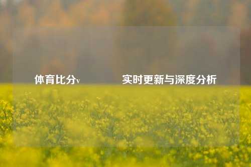 体育比分v🥈实时更新与深度分析