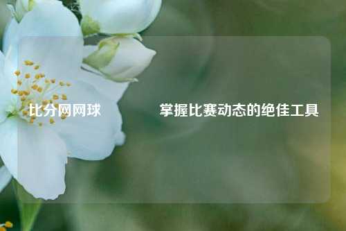 比分网网球🏐掌握比赛动态的绝佳工具