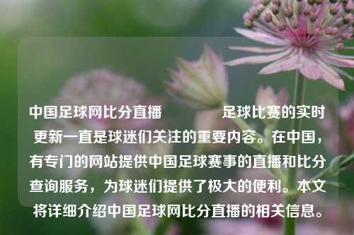 中国足球网比分直播👈足球比赛的实时更新一直是球迷们关注的重要内容。在中国，有专门的网站提供中国足球赛事的直播和比分查询服务，为球迷们提供了极大的便利。本文将详细介绍中国足球网比分直播的相关信息。