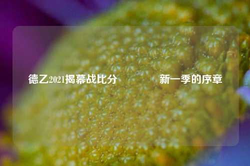德乙2021揭幕战比分🏐新一季的序章