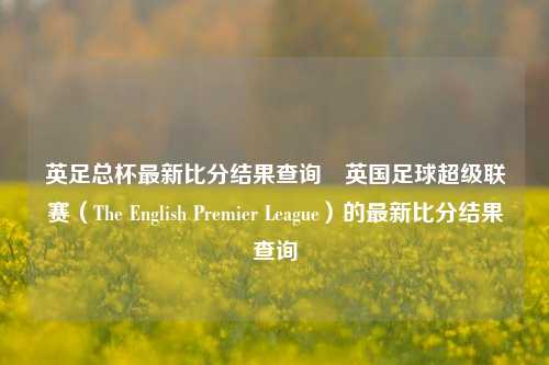 英足总杯最新比分结果查询⚽英国足球超级联赛（The English Premier League）的最新比分结果查询