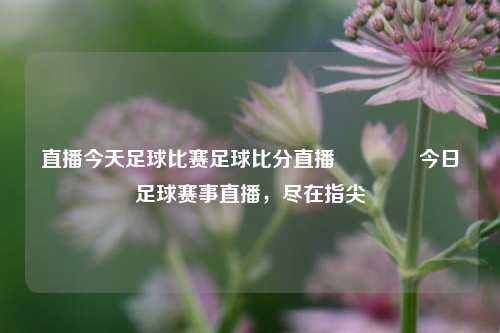 直播今天足球比赛足球比分直播🥎今日足球赛事直播，尽在指尖