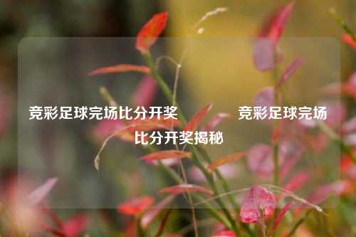竞彩足球完场比分开奖🥉竞彩足球完场比分开奖揭秘