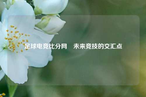 足球电竞比分网⚾未来竞技的交汇点