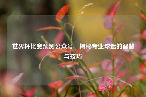 世界杯比赛预测公众号⚾揭秘专业球迷的智慧与技巧