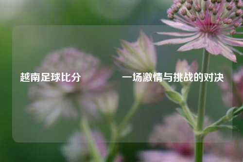越南足球比分🏐一场激情与挑战的对决